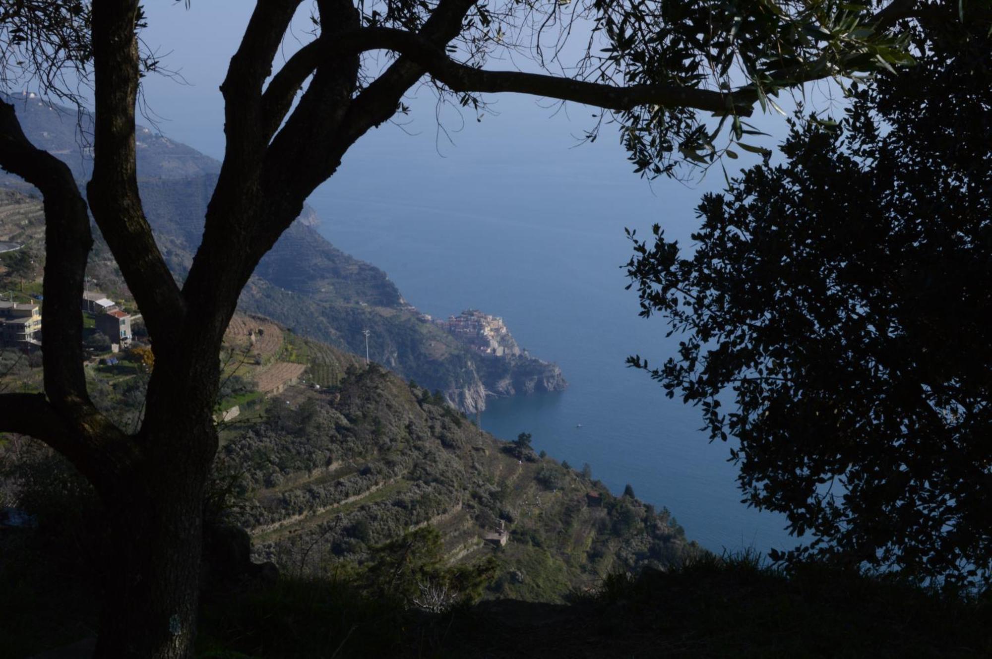 Villa I Tre Grappoli Corniglia Exterior foto