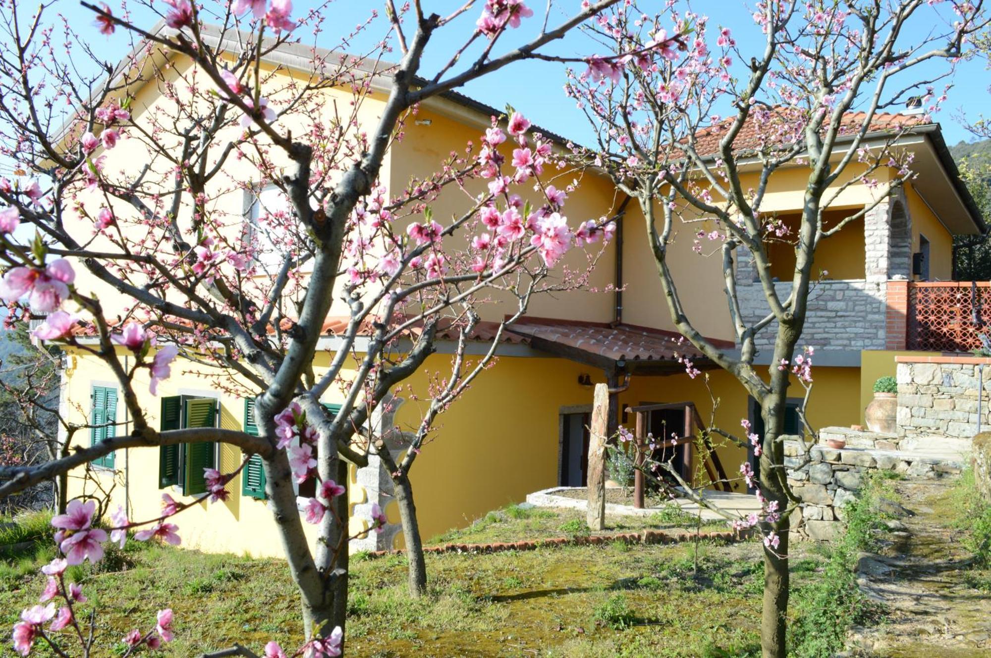 Villa I Tre Grappoli Corniglia Exterior foto