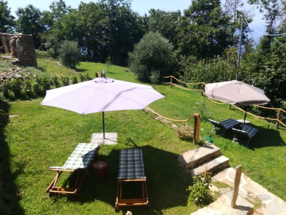 Villa I Tre Grappoli Corniglia Exterior foto