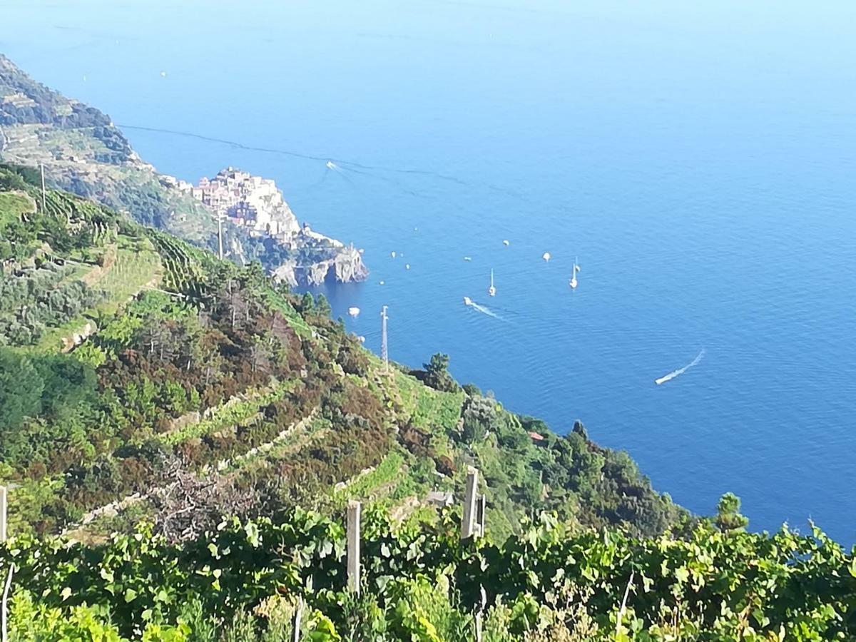 Villa I Tre Grappoli Corniglia Exterior foto